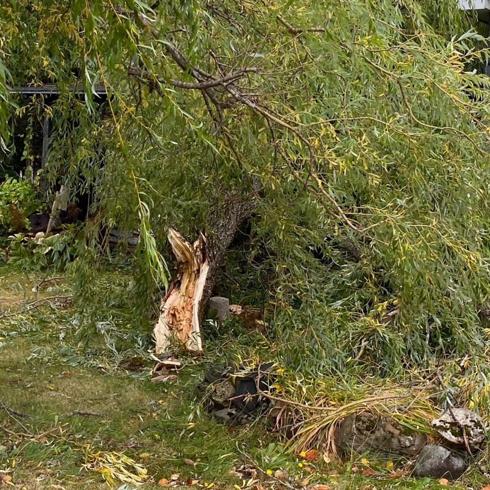 Meet your Posher, Tracey